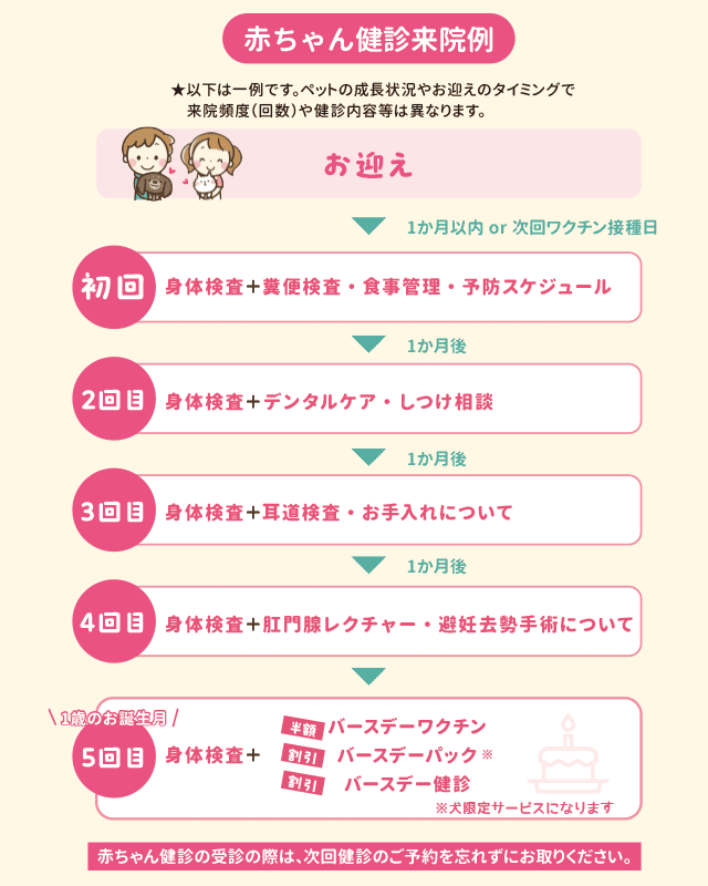 健診スケジュール