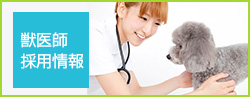 獣医師採用情報
