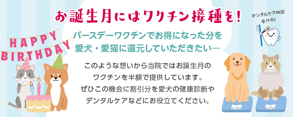 バースデーワクチン始まりました