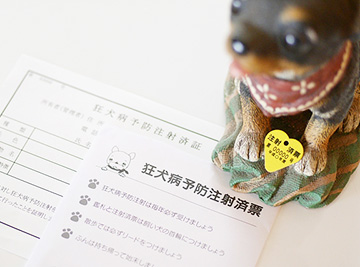 狂犬病予防接種は必ず受けましょう