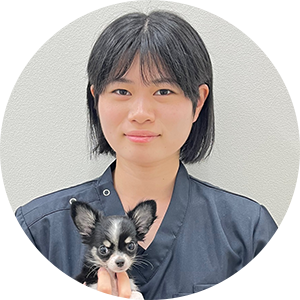 新屋　まいか